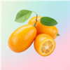Кумкват
