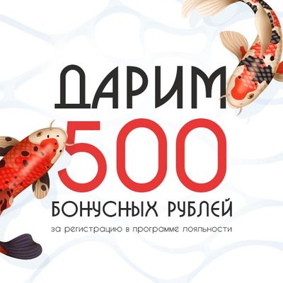 Дарим 500 бонусных рублей !