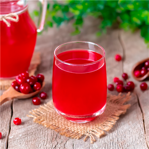 Морс клюквенный 1л